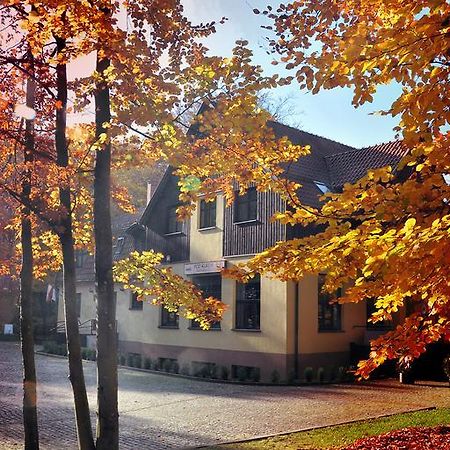Willa Strzelnica Hotel Kościerzyna Eksteriør billede