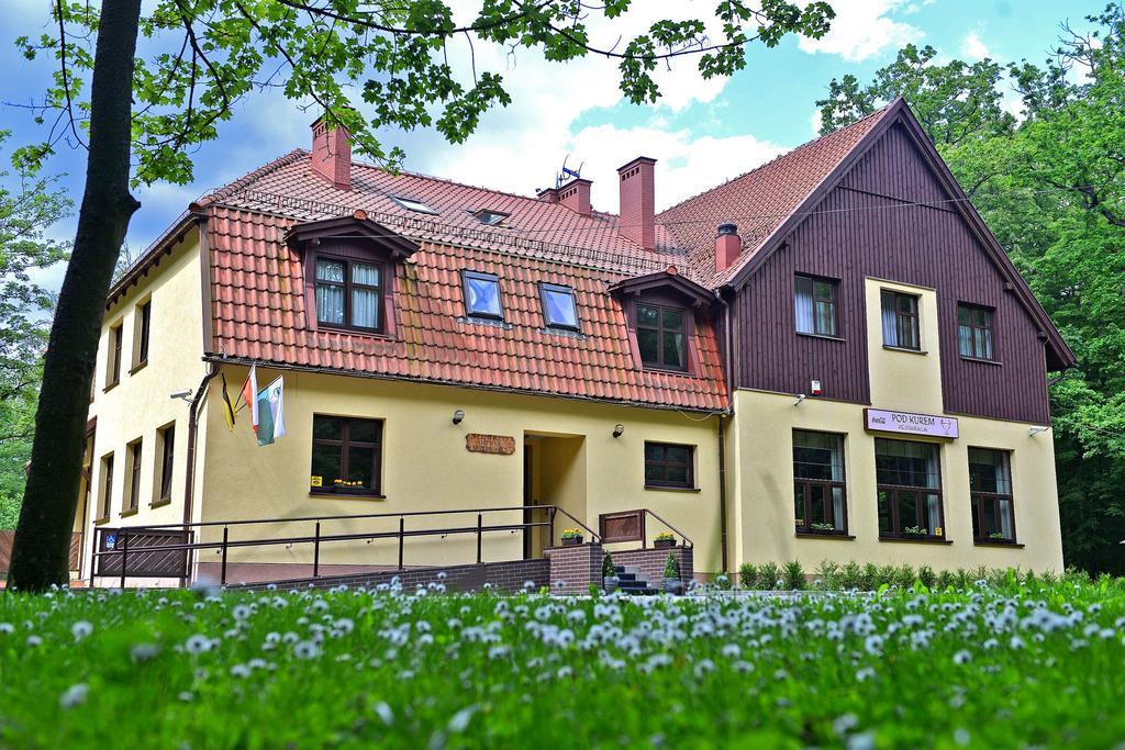 Willa Strzelnica Hotel Kościerzyna Eksteriør billede